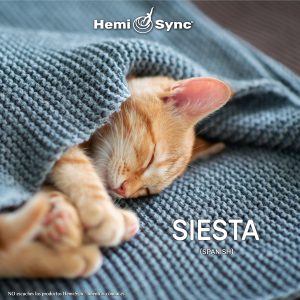 Siesta (Catnapper - Spanish)
