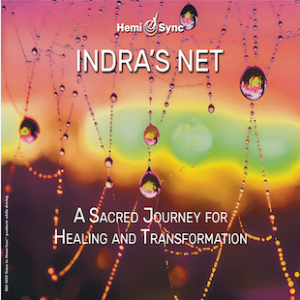 Indra's Net